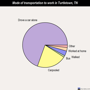 Turtletown mode of transportation to work chart
