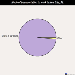 New Site mode of transportation to work chart