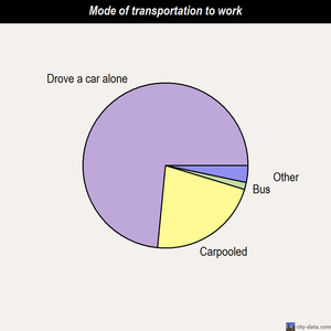 Bonnie Lock-Woodsetter North mode of transportation to work chart