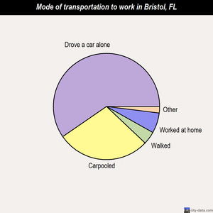 Bristol mode of transportation to work chart