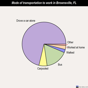 Brownsville mode of transportation to work chart