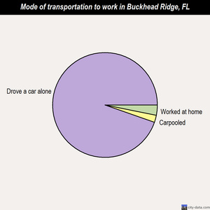 Buckhead Ridge mode of transportation to work chart