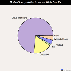 White Oak mode of transportation to work chart