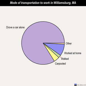 Williamsburg mode of transportation to work chart