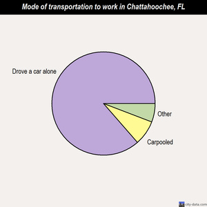 Chattahoochee mode of transportation to work chart