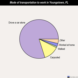 Youngstown mode of transportation to work chart