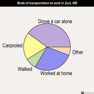 Zuni mode of transportation to work chart
