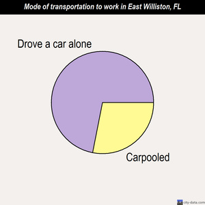 East Williston mode of transportation to work chart