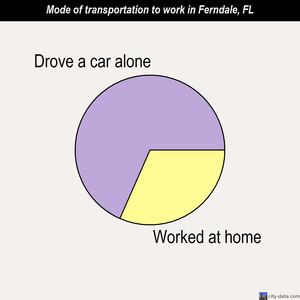Ferndale mode of transportation to work chart