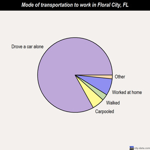 Floral City mode of transportation to work chart