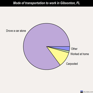 Gibsonton mode of transportation to work chart