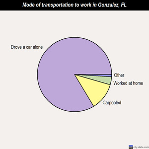 Gonzalez mode of transportation to work chart
