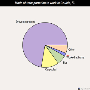 Goulds mode of transportation to work chart