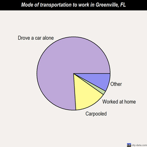 Greenville mode of transportation to work chart