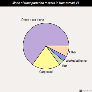 Homestead mode of transportation to work chart