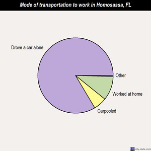 Homosassa mode of transportation to work chart