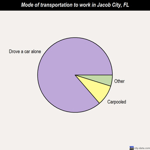Jacob City mode of transportation to work chart