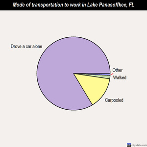 Lake Panasoffkee mode of transportation to work chart
