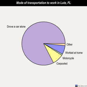 Lutz mode of transportation to work chart