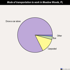 Meadow Woods mode of transportation to work chart