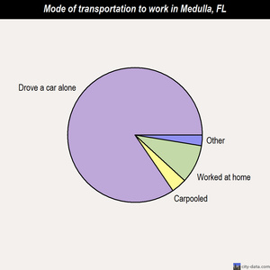 Medulla mode of transportation to work chart