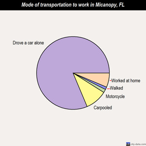 Micanopy mode of transportation to work chart