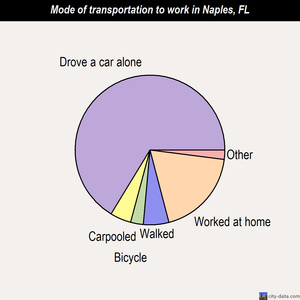 Naples mode of transportation to work chart