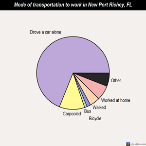 New Port Richey mode of transportation to work chart