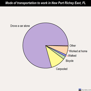 New Port Richey East mode of transportation to work chart