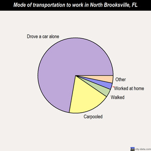 North Brooksville mode of transportation to work chart