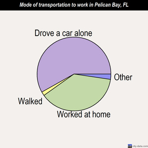 Pelican Bay mode of transportation to work chart