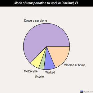 Pineland mode of transportation to work chart