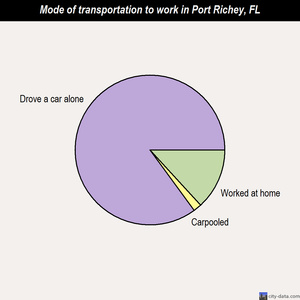 Port Richey mode of transportation to work chart