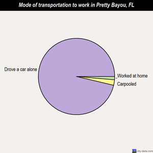 Pretty Bayou mode of transportation to work chart