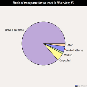 Riverview mode of transportation to work chart