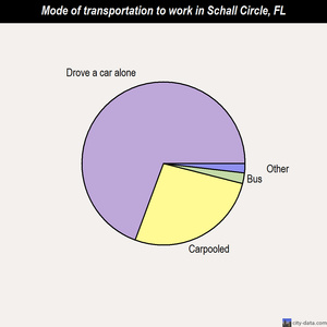 Schall Circle mode of transportation to work chart