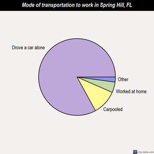 Spring Hill mode of transportation to work chart