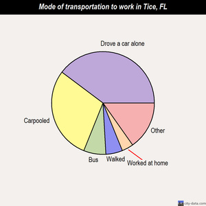 Tice mode of transportation to work chart