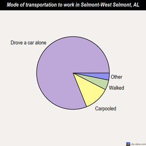 Selmont-West Selmont mode of transportation to work chart