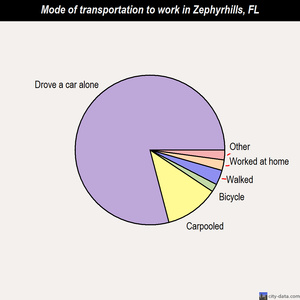 Zephyrhills mode of transportation to work chart