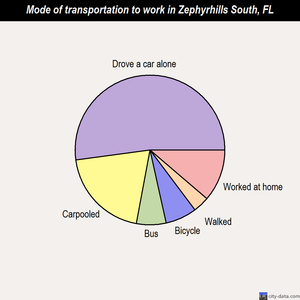 Zephyrhills South mode of transportation to work chart