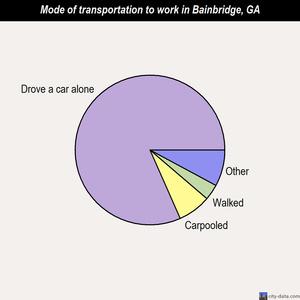 Bainbridge mode of transportation to work chart