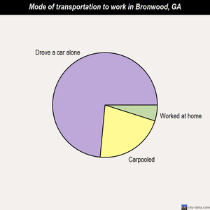 Bronwood mode of transportation to work chart