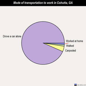 Cohutta mode of transportation to work chart
