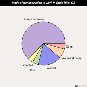 Druid Hills mode of transportation to work chart