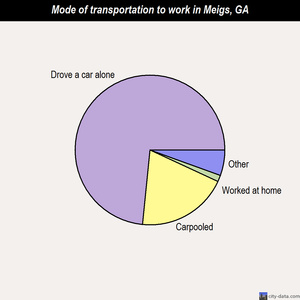 Meigs mode of transportation to work chart