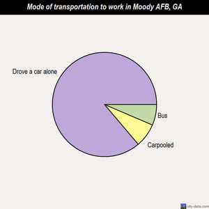 Moody AFB mode of transportation to work chart