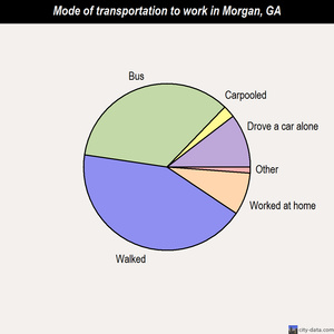 Morgan mode of transportation to work chart