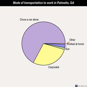 Palmetto mode of transportation to work chart