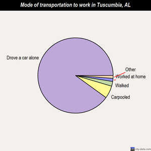 Tuscumbia mode of transportation to work chart